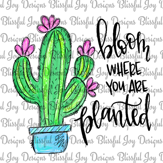 Bloom where you are planted - Sublimation Transfer